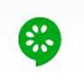 Cucumber hire developers in uae