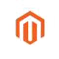 experienced magento developer