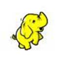 Hadoop hire developers in uae