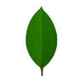 MongoDB hire developers in uae