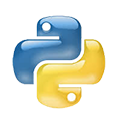 python software development company